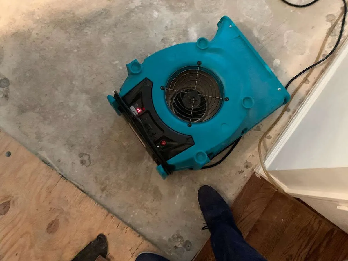 Air mover drying subfloor during Commercial Water Damage Restoration in Holiday